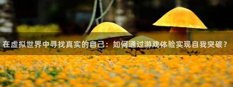 杜邦娱乐平台登录入口：在虚拟世界中寻找真实的自己：如何通过游
