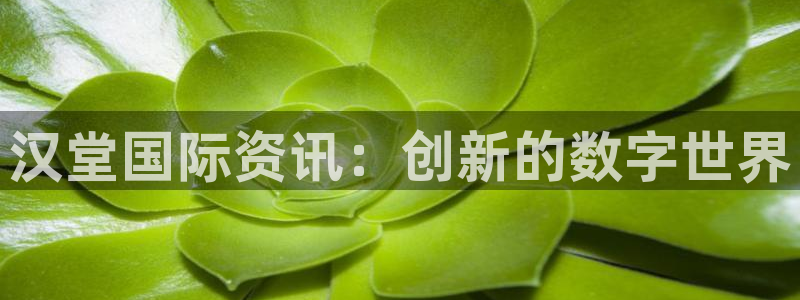 杜邦娱乐的意思：汉堂国际资讯：创新的数字世界
