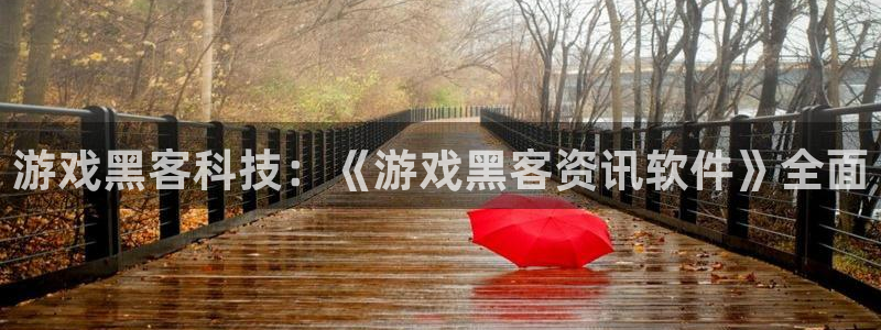 杜邦娱乐注册登录：游戏黑客科技：《游戏黑客资讯软件》全面