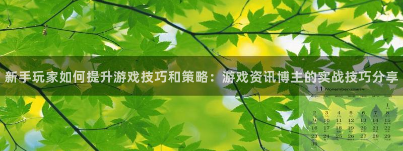 杜邦娱乐网页登录入口官网：新手玩家如何提升游戏技巧和策略：游